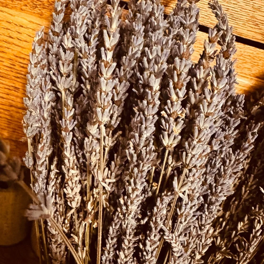 2 Dried Lavender Bouquets picked local last summer